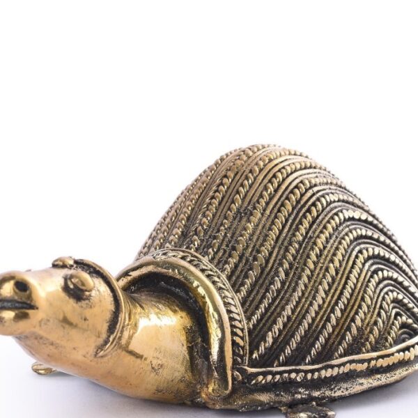 Large Turtle