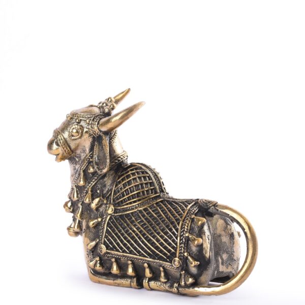 Small Nandi